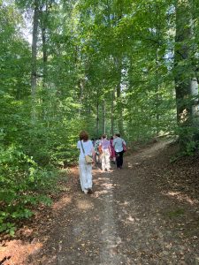 Die Personen gehen einen Waldweg
